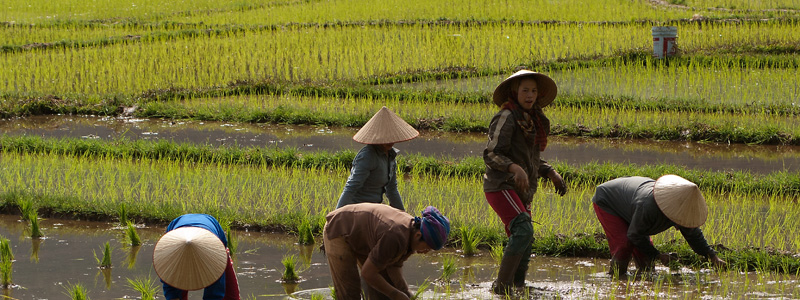 lees het hele Vietnam blog van onze rondreis