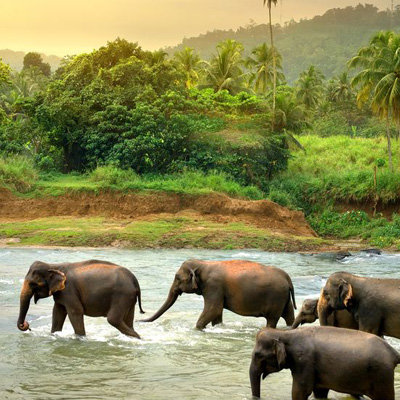 al de verhalen over ons avontuur in Sri Lanka